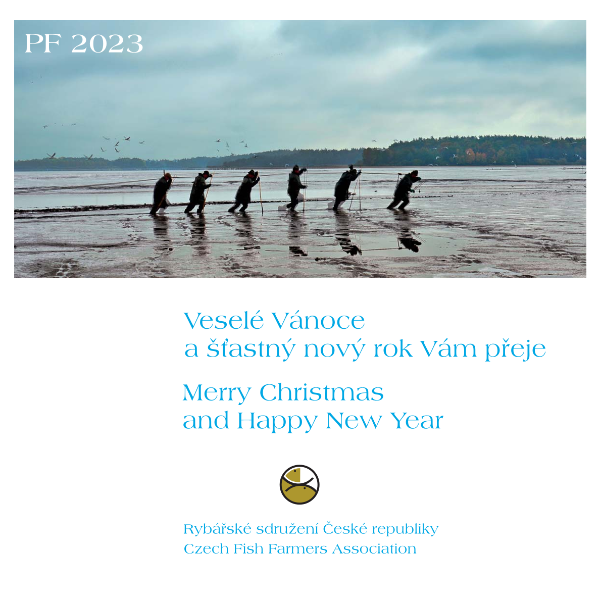 Pohodové Vánoce a šťastný nový rok!